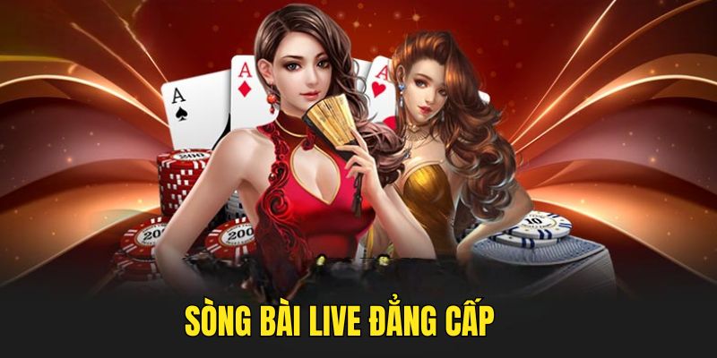 Không gian live tại thương hiệu chân thực, chuyên nghiệp
